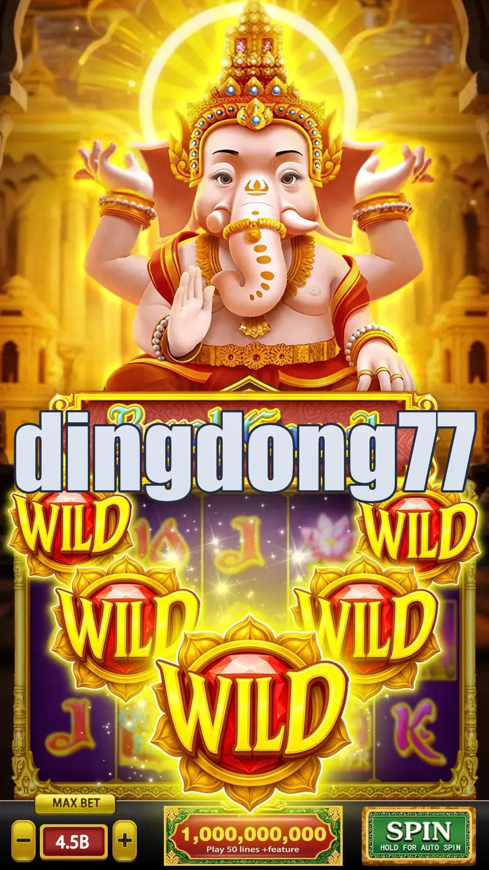 dingdong77 Preview - Resmi Unduh